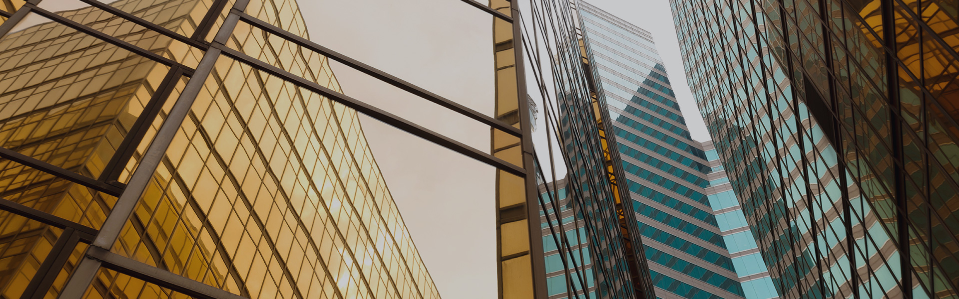 service-header-bg